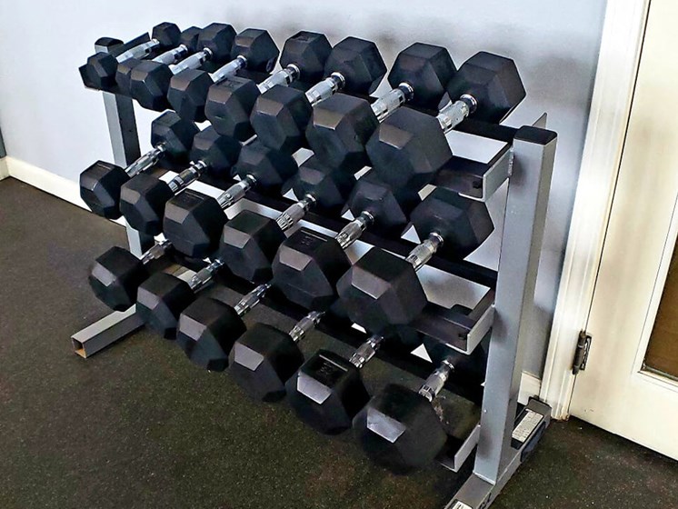 Free Weights at Fitness Center